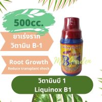 ขายดี  B1 บีวัน เร่งราก500ซีซีและ1ลิตร MULTI EXTRA START B-1 ROOT GROWTH น้ำยาเร่งราก ยาเร่งราก ช่วยในการปักชำ แตกรากพืช