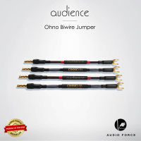 Audience Ohno Jumper Biwire Jumper Biwire