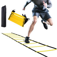 Adjustable Agility Speed Training Ladder with Carry Bag for Soccer Speed Football Fitness Feet Training Nylon Straps Ladders