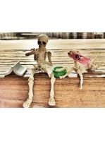 Skeleton Toy Pose Skull Human Body Flexible Model Doll Decoration Gift Home