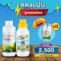 เอฟอช 1000 ml. + ปุ๋ยน้ำเอมม่า ขนาด 1000 ml แถมฟรี เอฟอช 100 ml. 2 ขวด สูตรป้องกันยั้บยั้งเชื้อรา ซึมเร็ว รากเน่า โคกเน่า ใบไหม้ ใบจุด ใบติด ราน้ำค้า