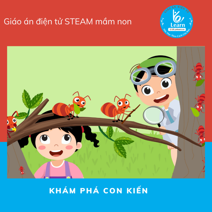 Giáo Án Khám Phá Con Kiến - Giáo Án Điện Tử Steam Mầm Non - Dụng Cụ Dạy Học Mầm  Non - Học Liệu Steam - Giáo Án Mầm Non | Lazada.Vn