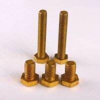 (LONG FA hardware)สกรูทองแดง3ชิ้น,สกรูทรงหกเหลี่ยมทองแดง M6x10/12...70มม.