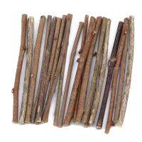 【YF】☃  20pcs/set Original  Small Sticks Grocery Branches Materials Garden Wedding Table Decoration