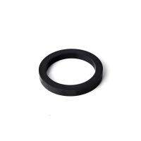 Gaggia Filter Holder Gasket 8.5 mm  NG01/001