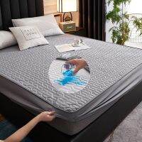 【hot】！ Bed SheetMattress Protector CoverBreathable Noiseless Quilting ProcessThicken Color