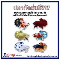 TH betta - ชุดเริ่มเลี้ยง " ปลากัด " สำหรับท่านที่ไม่รู้จะเลือกสีไหน ลองมาลุ้นกันครับ 1กล่อง = 1ตัว/2ตัว/3ตัว ***มีเก็บเงินปลายทาง***