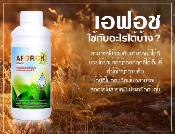 เอฟอชสารจับใบ-aforch-สารดูดซึมเอฟอช-ขนาด-1-ลิตร-ช่วยเพิ่มประสิทธิภาพการเปียกและแทรกซึมใบช่วยลดการใช้-สารจับใบ-ชนิดพิเศษ-เร่งการดูดซึม