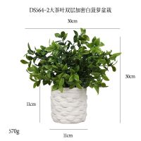 【HOT】 Cross-border office home desktop simulation plant potted big tea double-layer encrypted cement pulp green