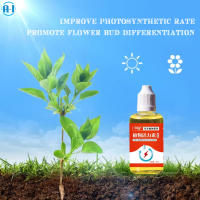 A-I ปลูกต้นไม้ Auxin Phytosomatin ความชื้นตัดปลายฮอร์โมนการรูทสำหรับเรือนกระจกบ้านสวน JS-019-MY