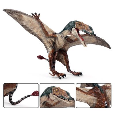 ไดโนเสาร์จำลองไดโนเสาร์ไดโนเสาร์โมเดลไดโนเสาร์ของเล่นไดโนเสาร์เพื่อการศึกษาสำหรับเด็กของขวัญเด็ก4-6Y