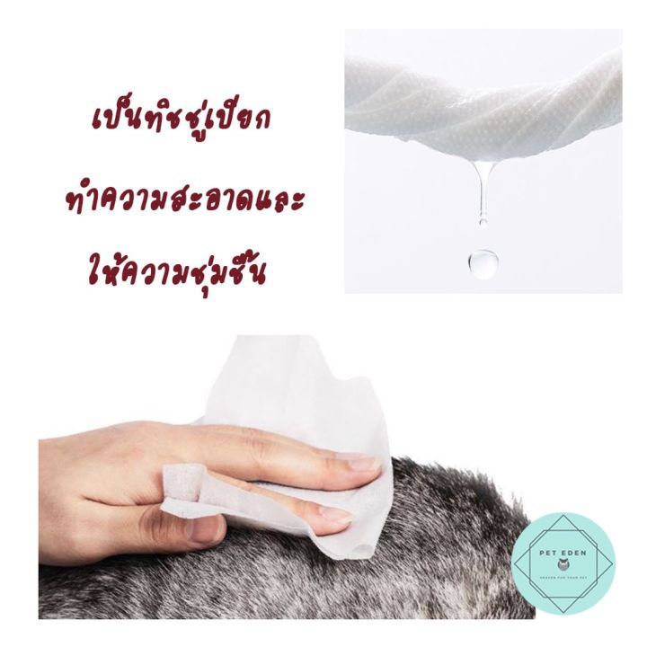 pet-wipes-kojima-แบรนด์ญี่ปุ่น-แผ่นเปียกทำความสะอาดสัตว์เลี้ยง-ทิชชูเปียกสัตว์เลี้ยง-บรรจุ-80-แผ่น