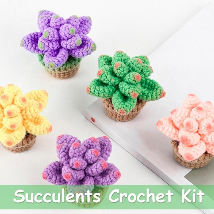 Crochet Potted Kit for Adults Children Crochet Potted Kit for Beginners