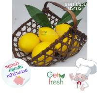 Get Fresh โมเดลอาหารปลอม,อาหารปลอม, ผักผลไม้ปลอม, มะนาวเหลือปลอม ,ผลไม้ตกแต่งบ้าน, Food Model    ขนาดเท่าของจริง เกรดสวยสมจริง มีน้ำหนักเหมือนจริง (มะนาวเหลือเกรดสมจริง5  ลูก แถมใบเขียวประดับเสริม)