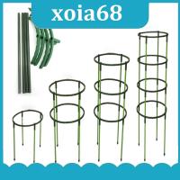 xoia68 Shop 4Pcs Plastic Plant Support Pile Orchid Stand Holder For Flowers Semicircle Greenhouses Fixing Rod Holder Bonsai