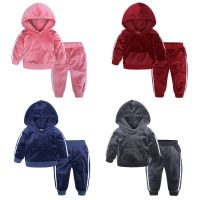 2023 Spring Autumn Infant Toddler Hooded Sweatshirt Baby Boys Girls Gold Velvet Casual Sports Set Coat+Long Pants Two-piece Suit