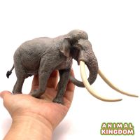 Animal Kingdom - โมเดล Elephant ช้าง เอเชีย ขนาด 23.00 CM (จากสงขลา)