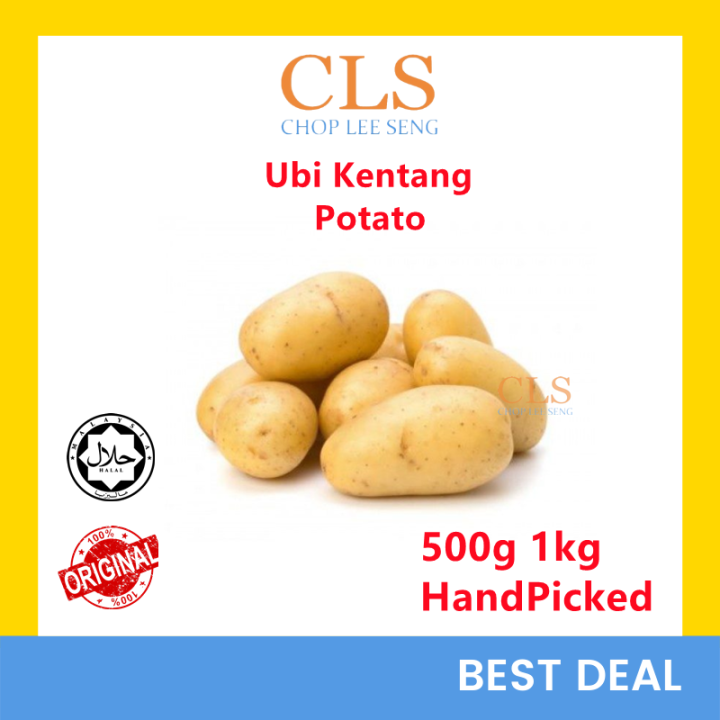 Cls Ubi Kentang Segar Fresh Hand Picked Potato Potatoes 500g 1kg