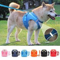 Pet Harness Vest for Small Dogs Harness Leash Puppy Chest Strap Breathable Mesh Vest Leash Set Pet Walking Lead