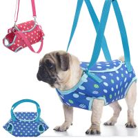 ✎✌☊ Puppy Cat Dog Bags Backpack