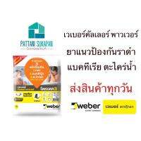 ( Promotion+++) คุ้มที่สุด Weber ยาแนวเวโพรเทค3 ยาแนวกันเชื้อรา ราคาดี อุปกรณ์ ทาสี อุปกรณ์ ทาสี บ้าน อุปกรณ์ ทาสี ห้อง อุปกรณ์ ใน การ ทาสี