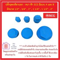 PVC SCG ปลั๊กอุดเกลียวนอก - หนา ฟ้า SCG มีแบบ A และ B ขนาด 1/2 นิ้ว - 2 นิ้ว *** ส่งด่วนทุกวัน