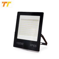 LED Flood Light IP66 Waterproof 50w 150w 30W 20W 220V Floodlights Wall Spotlights 230V Outdoor Lighting Cold White 10w 30w 50w