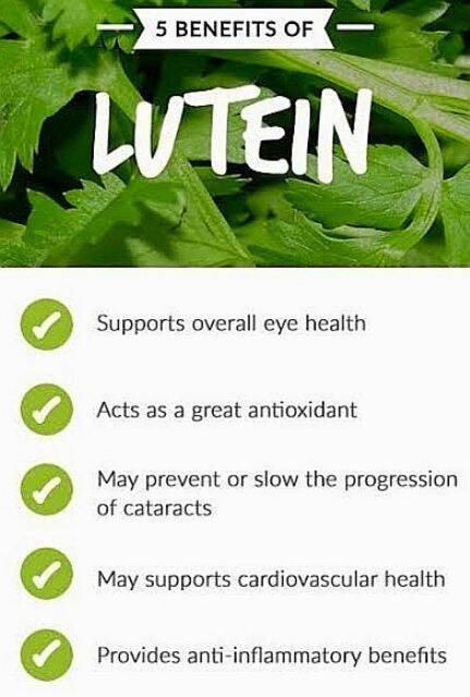 ลูทีน-อาหารเสริมสำหรับดวงตา-lutein-10-mg-120-softgels-now-foods