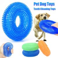 Squeaky Pet Dog Interactive Chew Toy Puppy Bite Resistant Thorn Barbed Tooth Cleaning Toy TPR Molar Chew Toys for Dogs Toys