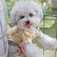 TT-PET เสื้อบางสำหรับเสื้อผ้าสัตว์เลี้ยงสัตว์เลี้ยงแมวสุนัขพันธุ์ Schnauzer Bichon Frize เสื้อเชิ๊ตตัวเล็กสำหรับฤดูใบไม้ผลิเสื้อผ้าสุนัขฤดูใบไม้ผลิฤดูร้อน