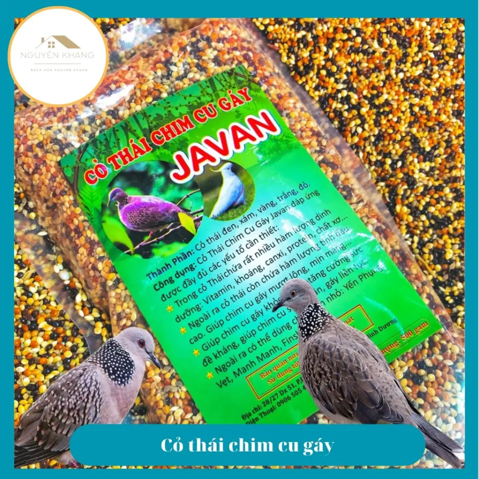 Kỹ thuật nuôi chim cu gáy sinh sản * Sai Mon Thi Dan