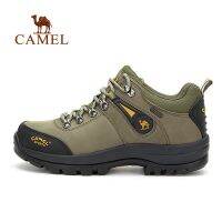 Camel Men S Low-Topรองเท้าปีนเขา