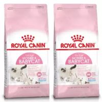 Royal Canin Mother &amp; Babycat Food 4 Kg (2 bags) รอยัลคานิน อาหาร สำหรับ แมวตั้งท้อง และ ลูกแมว 4 กก. (2 ถุง)