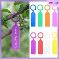 FWFHTP 100Pcs สีสัน กระถางดอกไม้ สวนเนอสเซอรี่ เครื่องหมายพืช แท็กแขวน เครื่องมือ ป้าย