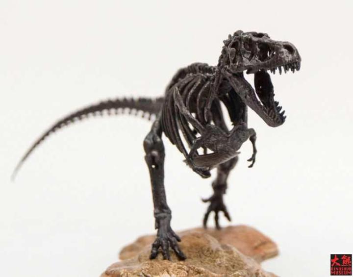 dinosaur-skeleton-tyrannosaurus-rex-skeleton-jurassic-dinosaur-skeleton-model-gift-box-packaging-ornament-collection