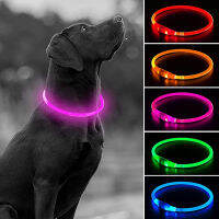 2022 New USB Rechargeable Dog LED Light Collar Luminous Flash Necklace Outdoor Walking Night Safety Supplies Ring