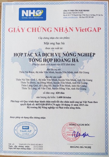 Mật ong hoa bạc hà nguyên chất, đặc sản tỉnh hà giang, thơm ngon bổ dưỡng - ảnh sản phẩm 5