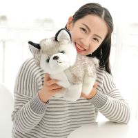 【CW】ↂ  Dog Soft Stuffed Kawaii Children Birthday for Fluffy Dolls Size 20cm