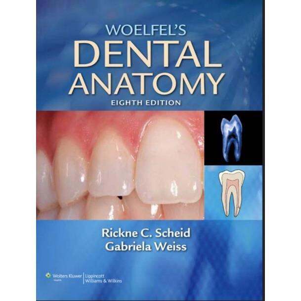 Woelfel's Dental Anatomy | Lazada PH