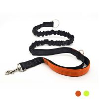 Dog leash rope One for two nylon reflective pet running extended traction rope for large medium dog accessories Golden Retriever