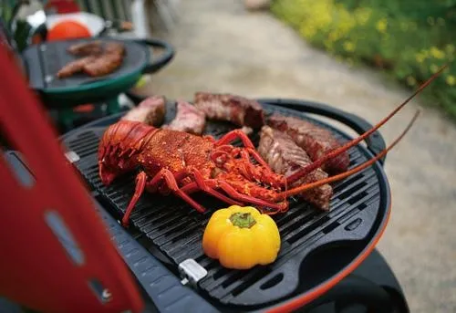 IRODA O-GRILL 500 PORTABLE - ORANGE OGRILL, Portable Gas Grill, Butane Gas Grill, Travel Grill, Foldable Grill, Camping Grill, Party Grill, Compact in size Grill |