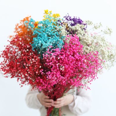 Gypsophile Decorations for Home Natural Flowers Wedding Bouquet Bouquets of Natural Preserved Flowers Dried Decoration Christmas