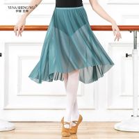 Ballet Dance Skirt Professional Dance Elastic Waist Mesh Skirt For Women Dance Practice Clothes Female Performances Dancing Wear