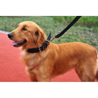 ❃ โซ่สุนัขขนาดใหญ่สุนัขสายจูงขนาดใหญ่พร้อมปลอกคอเชือก Alaska German Shepherd Golden Retriever Leash Hot One Piece ขายส่ง