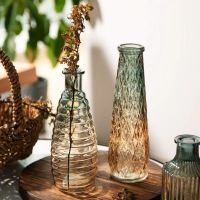 Retro Embossed Transparent Decorative Vase Hydroponic Glass Vase Living Room Gradient Color Home Flower Arrangement Ornaments