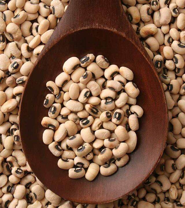 THATAI PAYURU / BLACK EYED PEAS / KACANG MATA HITAM | Lazada