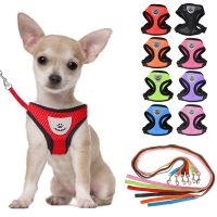 【jw】❁∋۞ Mesh Harness And Leash Breathable Cats Harnesses Small Dog French Bulldog Chihuahua Pug