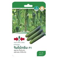 SuperSales - X6 ชิ้น - แตงร้าน ระดับพรีเมี่ยม F1 จัมโบ้กรีน ส่งไว อย่ารอช้า -[ร้าน thitikorn Store จำหน่าย อุปกรณ์แต่งสวน ราคาถูก ]