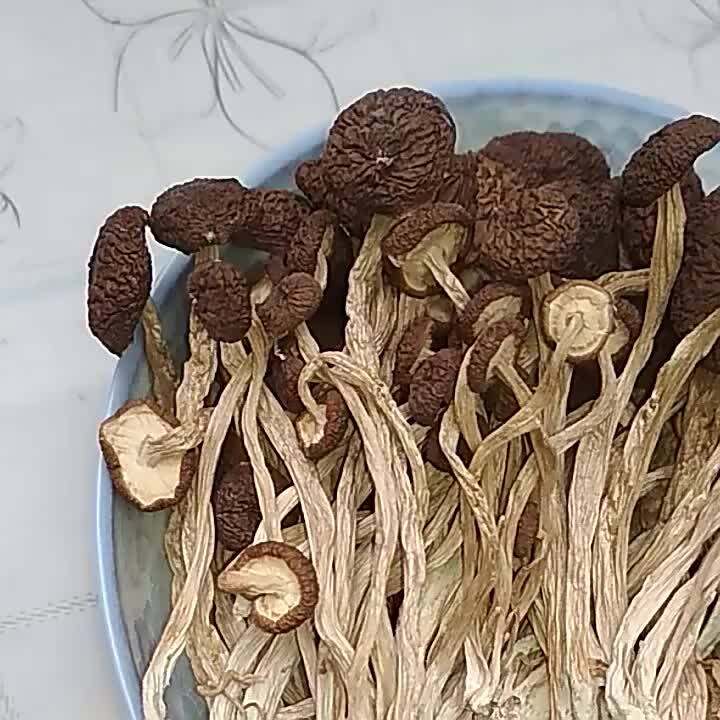 Cendawan Pokok Teh, Barang Kering, Barang Baru, Tanpa Belerang, Tanpa