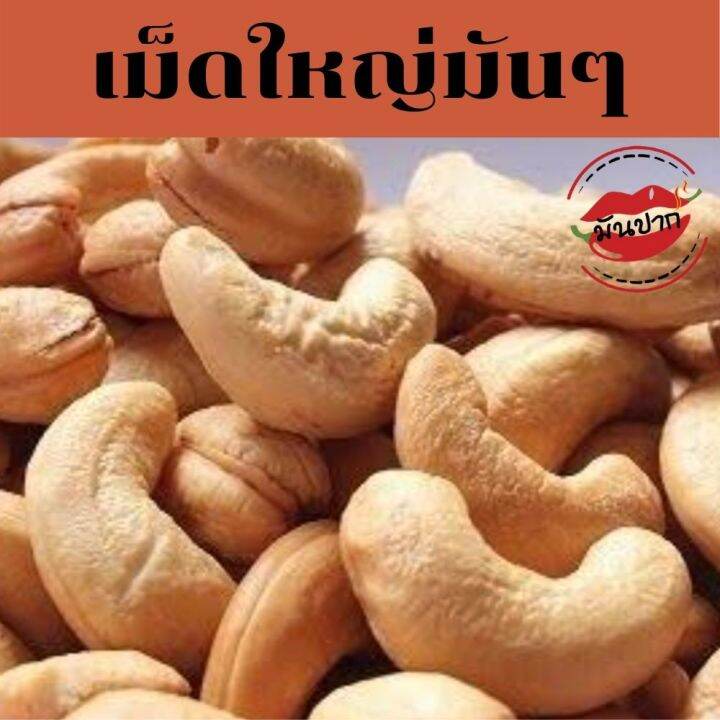 เม็ดมะม่วงหิมพานต์-เม็ดมะม่วงหิมพานต์อบ-500-กรัม-เม็ดมะม่วงหิมพานต์เม็ดใหญ่-เกรด-a-อบกรอบธรรมชาติ-อบใหม่ทุกวัน-cashew-nuts-monpak